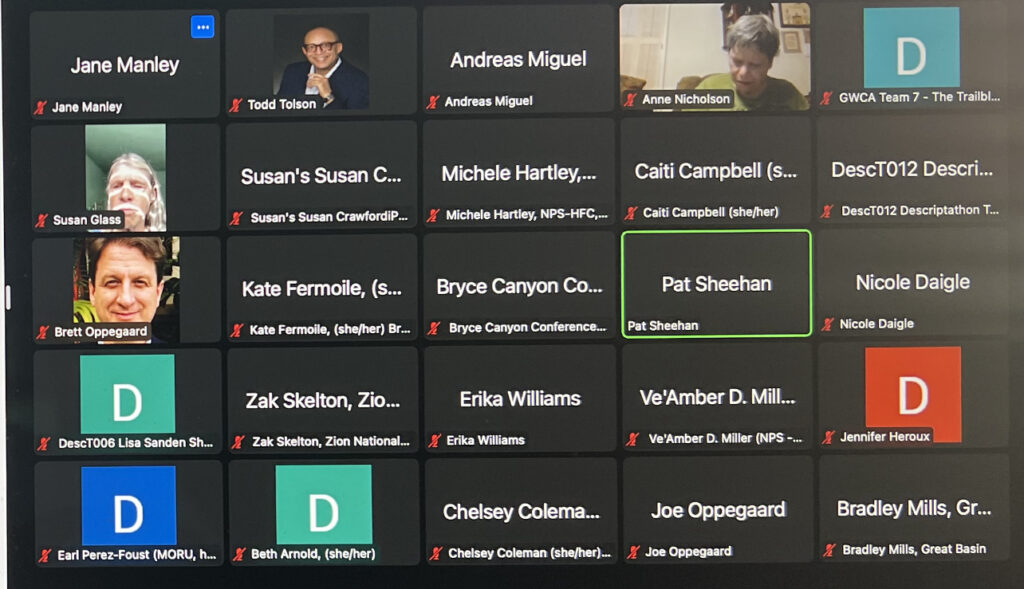 Todd Tolson, Jane Manley, Susan Glass, Brett Oppegaard , Pat Sheehan on a zoom call during the Descriptahon 9. Pat Sheehan's square is highlighted. 20 squares of 100 showing